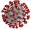 Coronavirus SARS-CoV-2 (Covid-19)